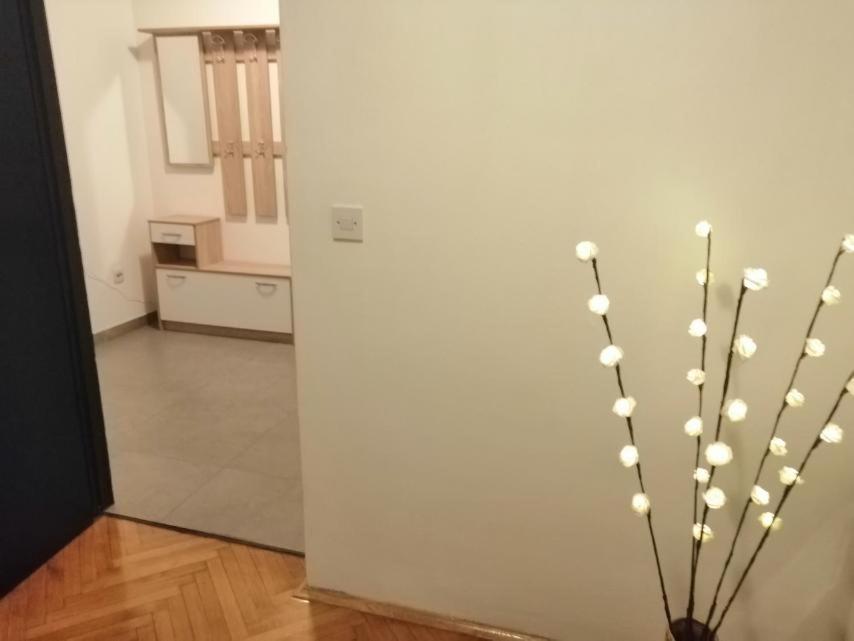 Apartman Sanja Pula Buitenkant foto